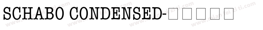 SCHABO CONDENSED字体转换